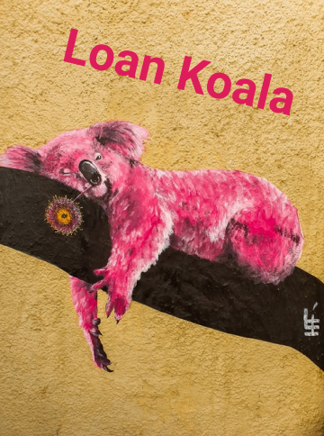 Loan Koala